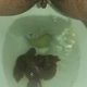 A rear under-ass view of a very cute girl as a long log hangs and drops, followed by the product. Filmed from a between the legs perspective. Vertical format video. About 2 minutes.